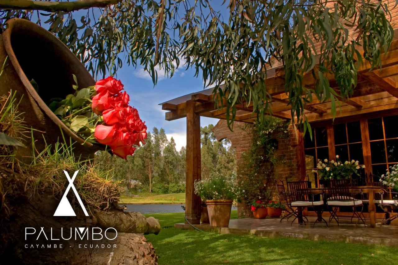 Palumbo Glamping & Villas Cayambe Eksteriør bilde