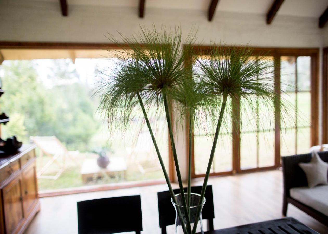 Palumbo Glamping & Villas Cayambe Eksteriør bilde