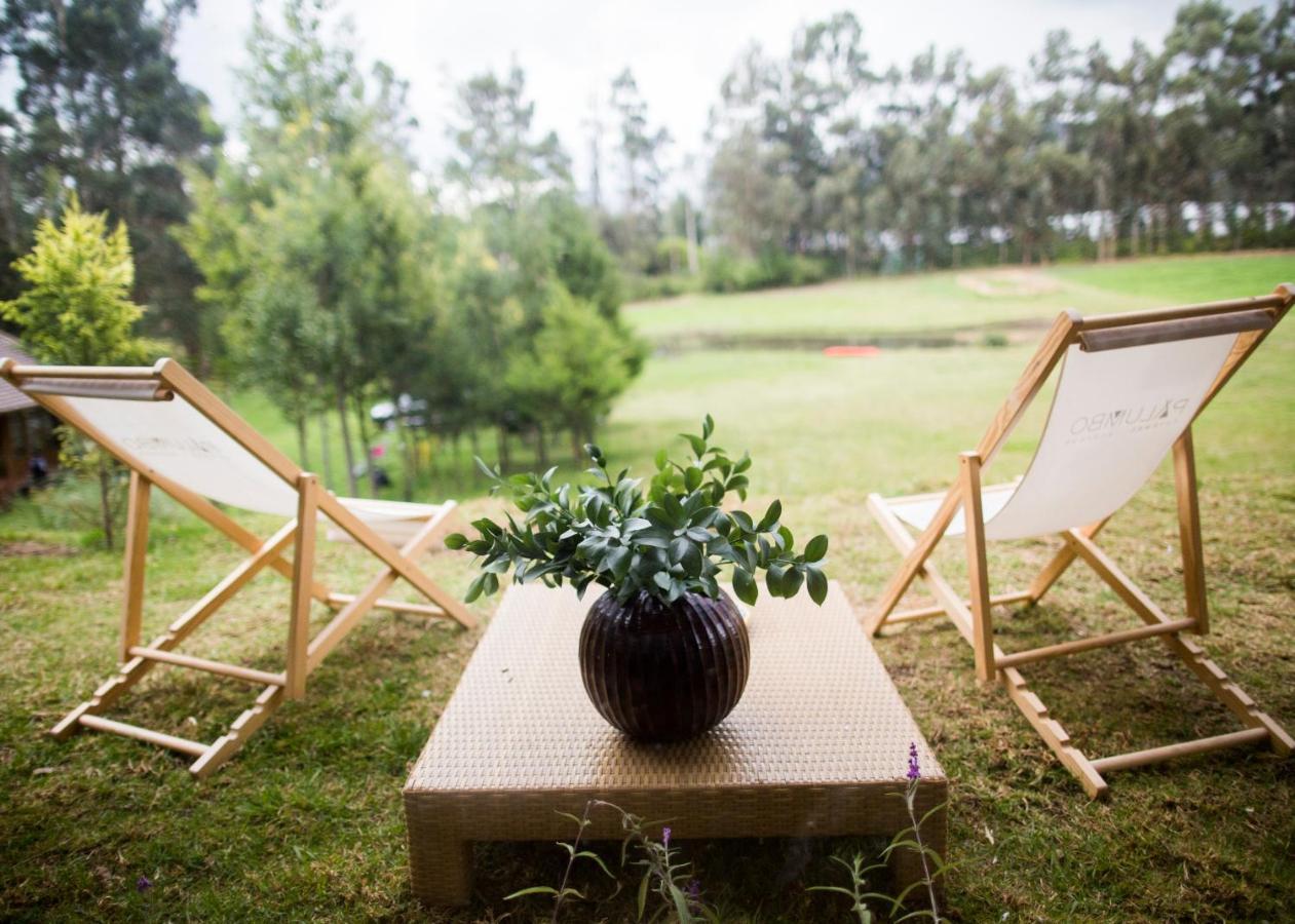 Palumbo Glamping & Villas Cayambe Eksteriør bilde